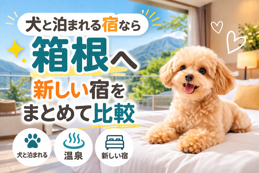犬と泊まれる宿なら箱根へ｜新しい宿をまとめて比較