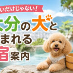 安いだけじゃない！大分の犬と泊まれる宿案内