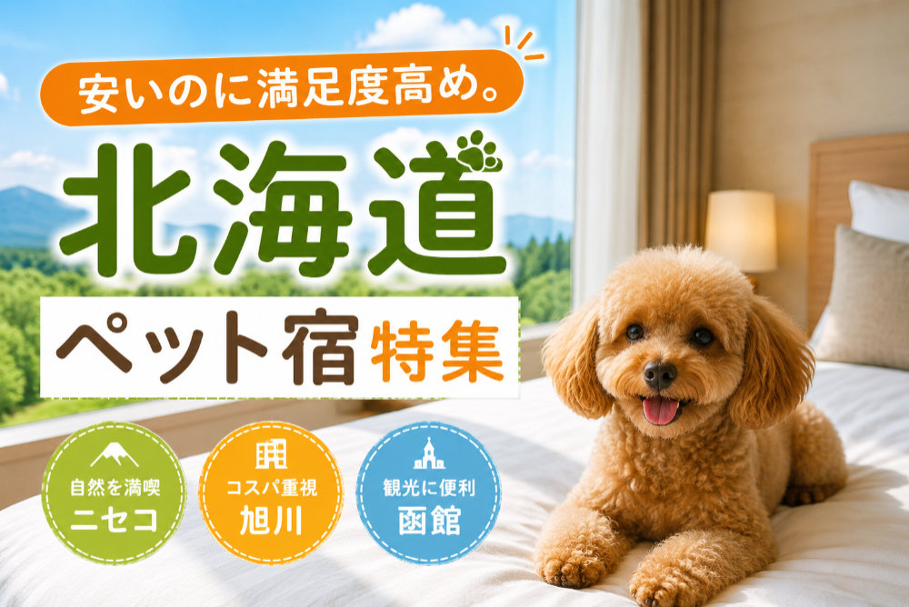 安いのに満足度高め。北海道ペット宿特集